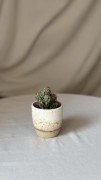 Beżowa osłonka ceramiczna z brązowymi piegami handmade