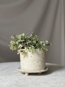 Surowa osłonka ceramiczna beżowa w plamki