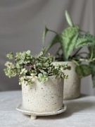 Surowa osłonka ceramiczna beżowa w plamki