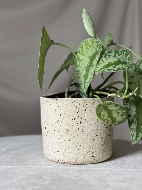 Surowa osłonka ceramiczna beżowa w plamki