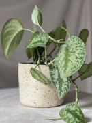 Surowa osłonka ceramiczna beżowa w plamki