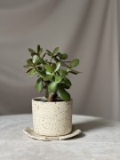 Surowa osłonka ceramiczna beżowa w plamki