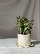Surowa osłonka ceramiczna beżowa w plamki