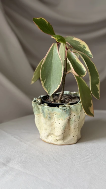Pofalowana osłonka ceramiczna z zielonym spływem