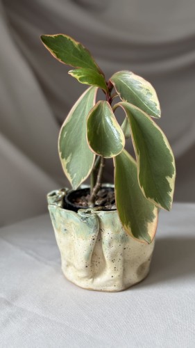 Pofalowana osłonka ceramiczna z zielonym spływem