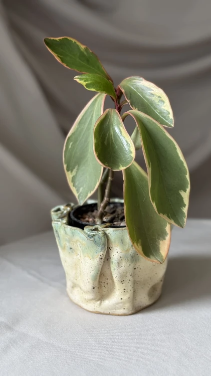 Pofalowana osłonka ceramiczna z zielonym spływem