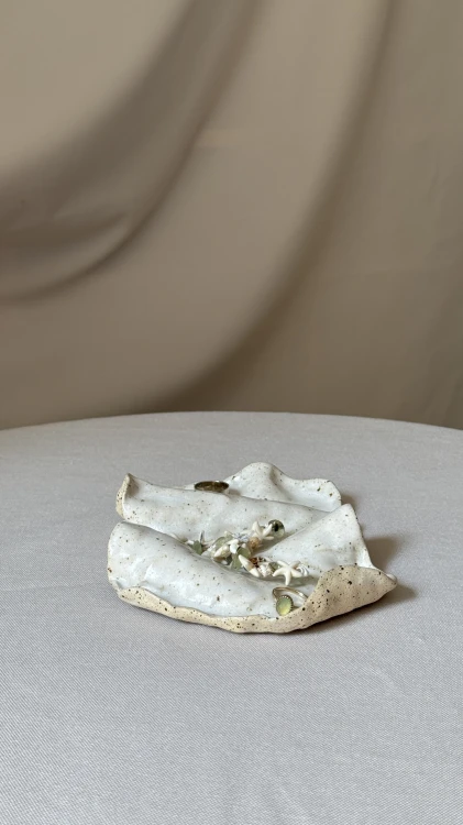 IMG_6801.jpg